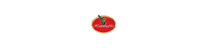Humming Bird